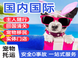 普宁空运代理国际宠物托运 【国